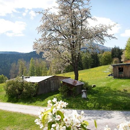 Landhof Steinhuette Guest House Bayerisch Eisenstein Exterior photo